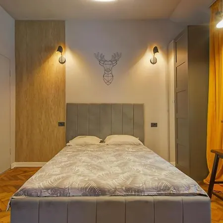 Hidden Nest Apartment