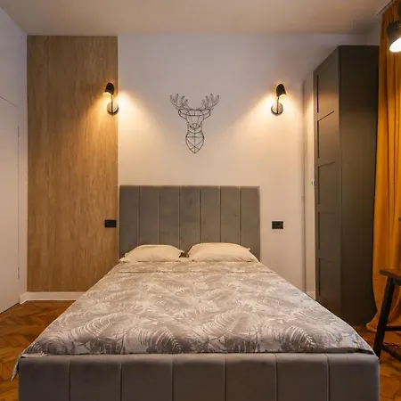 Apartment Hidden Nest Brasov